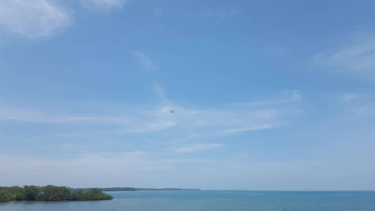The Sea Front Inn Punta Gorda Bagian luar foto